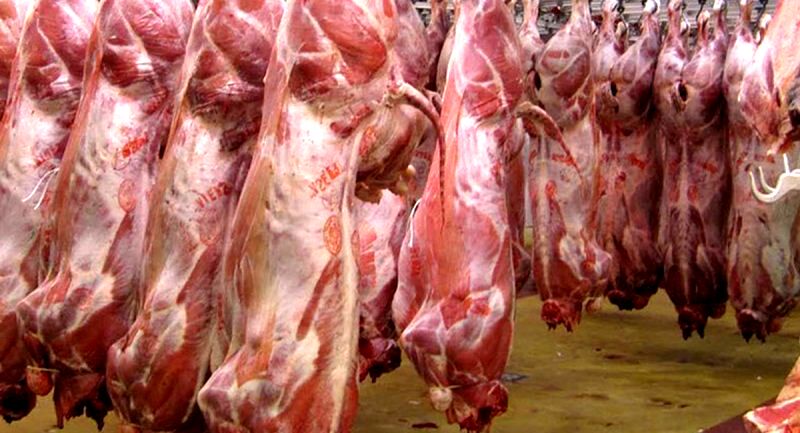 گزارش فروش گوشت اسب و الاغ را دریافت کردیم