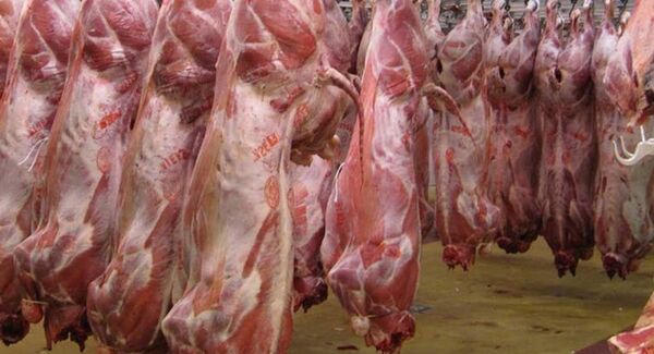 گزارش فروش گوشت اسب و الاغ را دریافت کردیم