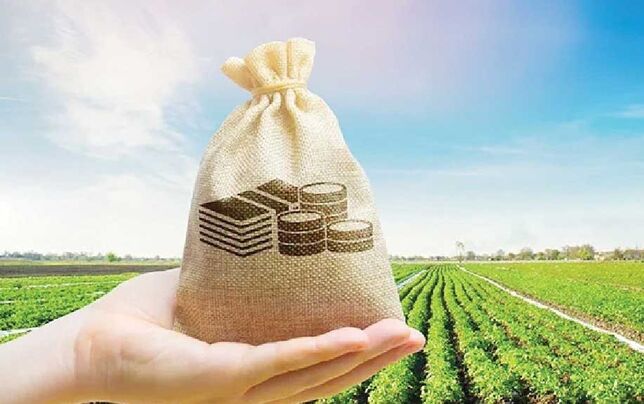 
خروج سرمایه‌گذاری‌ و گسترش زیرساخت‌ از اولویت حوزه کشاورزی