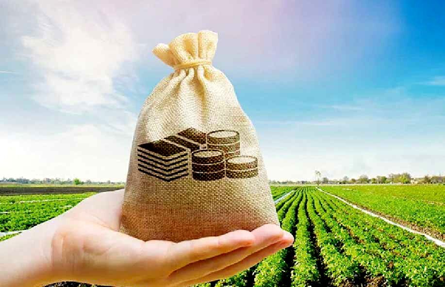 
خروج سرمایه‌گذاری‌ و گسترش زیرساخت‌ از اولویت حوزه کشاورزی