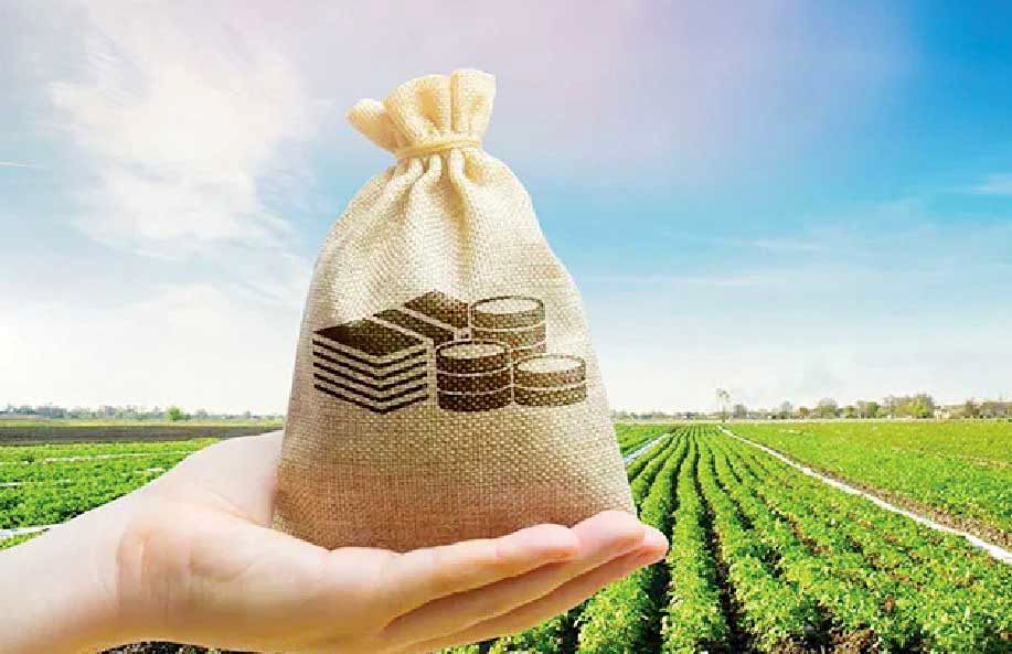 
خروج سرمایه‌گذاری‌ و گسترش زیرساخت‌ از اولویت حوزه کشاورزی