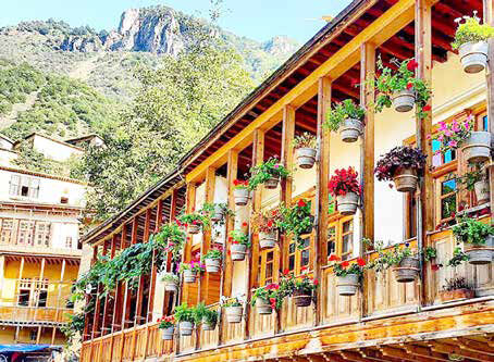 لمس خنکای بهاری در گرمای تابستان