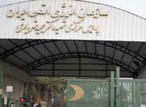 ادعای یک گروه هکری و تأیید سازمان انرژی اتمی