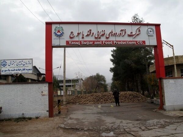 وضعیت کارگران کارخانه قند یاسوج دردناک است