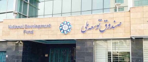دست‌انداز ی به منابع بین‌النسلی
