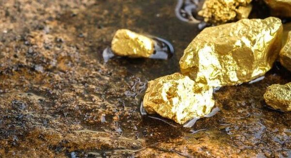 استقبال بالای چینی‌ها از فعالیت در معادن طلای ایران