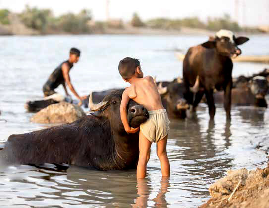 پاسکاری بحران؛ از امروز به آینده 