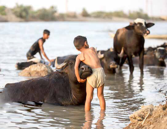 پاسکاری بحران؛ از امروز به آینده 