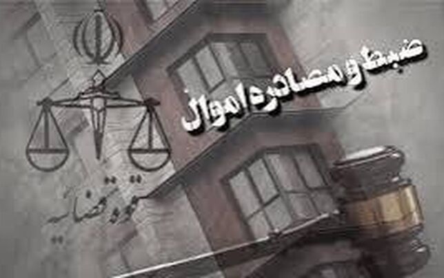 
 حساب بانکی و خودروی ۳۹۴ عنصر
«ضد انقلاب» را توقیف کردیم
