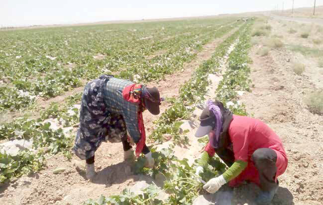 
میلیون‌ها زن در اقتصاد غیررسمی نان درمی‌آورند
