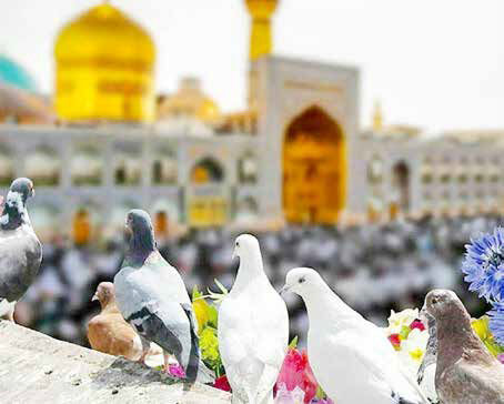 شهری برای همه‌ سلیقه‌ها