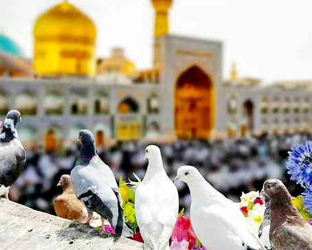 شهری برای همه‌ سلیقه‌ها