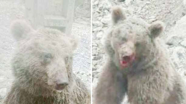 سنگ‌اندازی به جای تیمار!