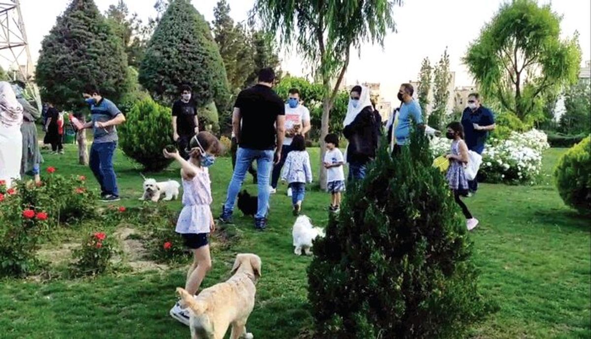 ورود سگ به بوستان‌ها ممنوع است