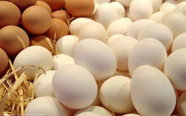 افزایش ۶۰۰ درصدی

قیمت نهاده‌های دولتی