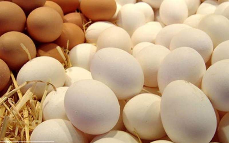 افزایش ۶۰۰ درصدی

قیمت نهاده‌های دولتی