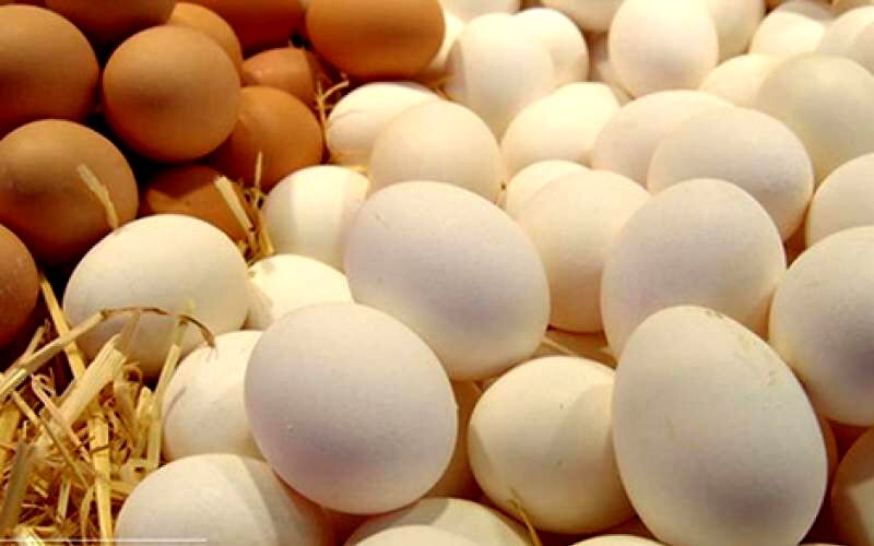 افزایش ۶۰۰ درصدی

قیمت نهاده‌های دولتی