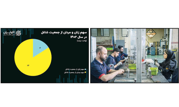 84   درصد مشاغل کشور متعلق به آقایان است