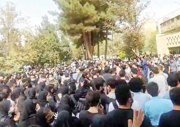 
آفت کمی‌‌گرایی!