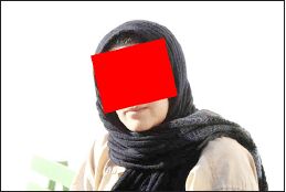 ریاست  زن  رزمی‌کار  در  باند  دزدان  پایتخت