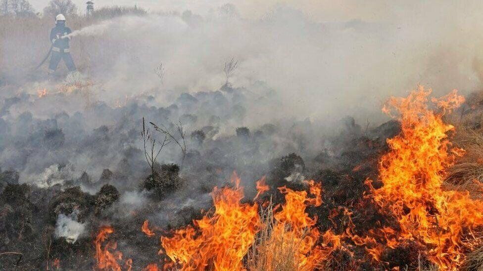 آتش در «بوزین و مره‌خیل» همچنان شعله‌ور است
