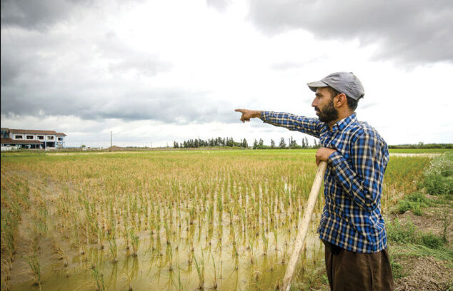 خشکسالی بر زندگی کشاورزان سایه انداخته است
