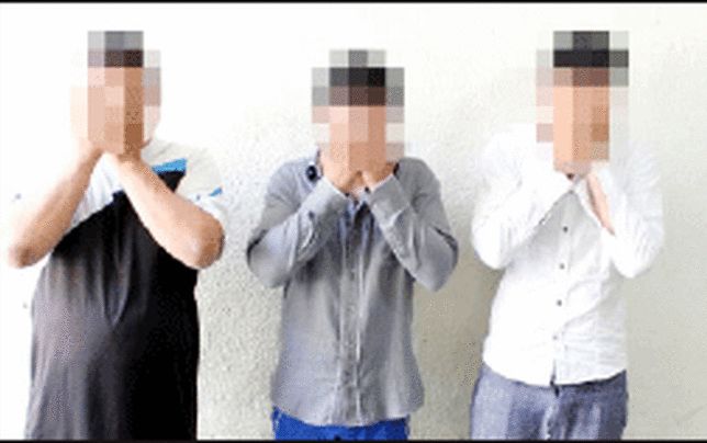 دسیسه شبانه میهمانان خانه زن تنها