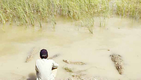 حوا فقط «آب» می‌خواست