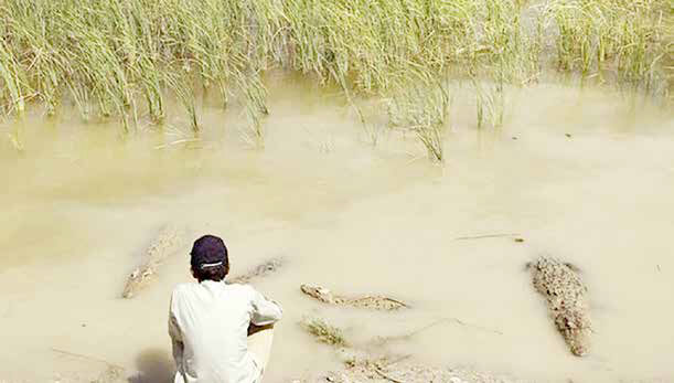 حوا فقط «آب» می‌خواست