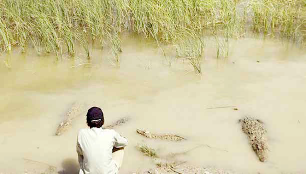 حوا فقط «آب» می‌خواست