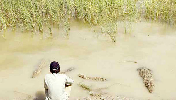حوا فقط «آب» می‌خواست