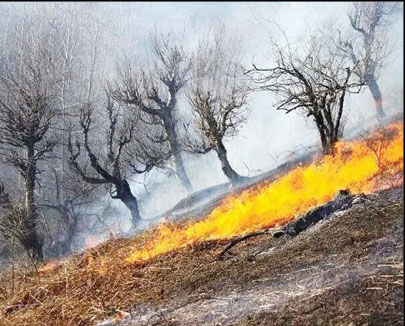 شناسایی ۵  نفر در لرستان 

به اتهام آتش‌ زدن عمدی مراتع