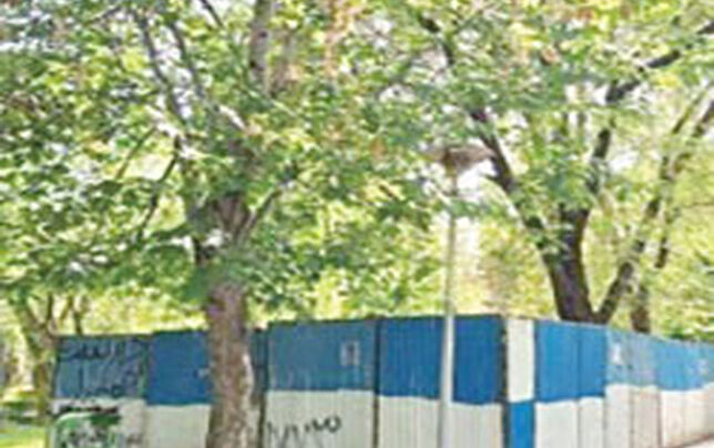 ساخت و ساز در پارک لاله متوقف شد

