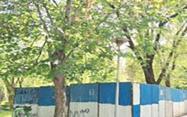 ساخت و ساز در پارک لاله متوقف شد

