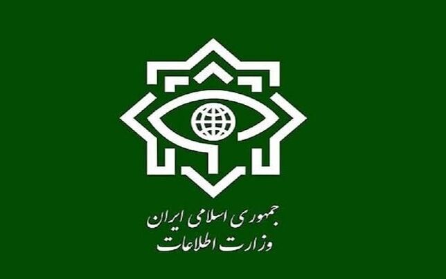 
بازداشت ۳۰ نفر در ارتباط با حوادث دی‌ماه در استان مرکزی 