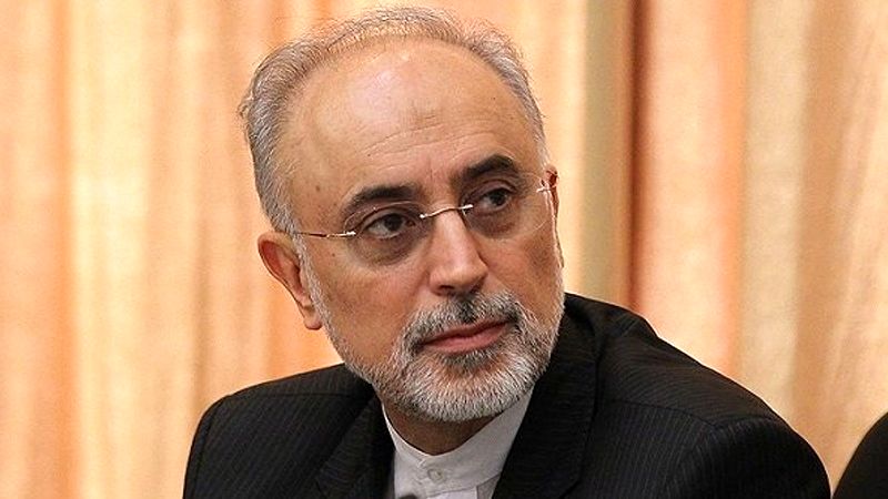 
 سرباز نظام هستیم و دستمان روی ماشه است 