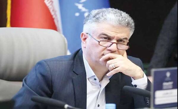 
طرح پزشک خانواده درصورت تأمین منابع کاملاً اجرایی است
