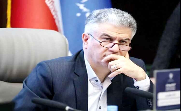 
طرح پزشک خانواده درصورت تأمین منابع کاملاً اجرایی است