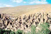 پاسداشت مخروطی‌نشین‌ها