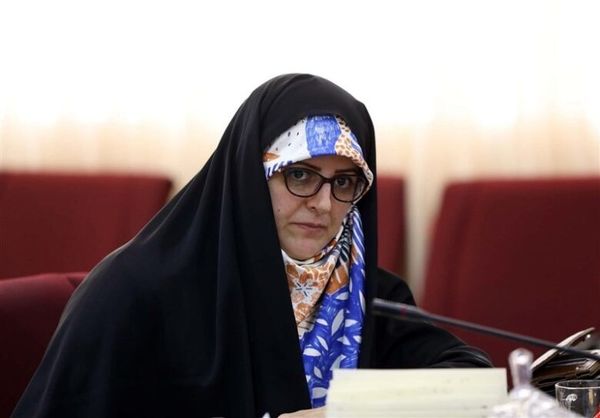 طرح «بانو قهرمان» به مجلس می‌رود