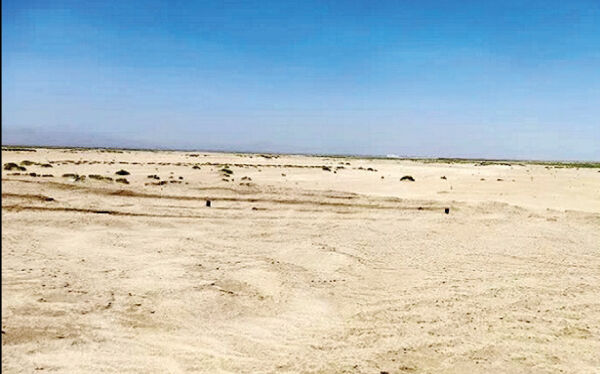 
سالانه یک میلیون هکتار به بیابان‌های کشور افزوده می‌شود