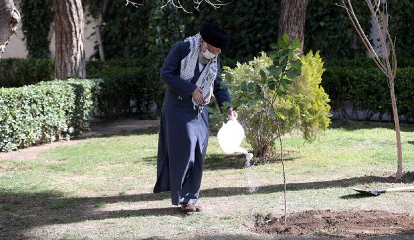 
 تخریب جنگل‌ها و محیط‌زیست، تخریب منافع ملی است
