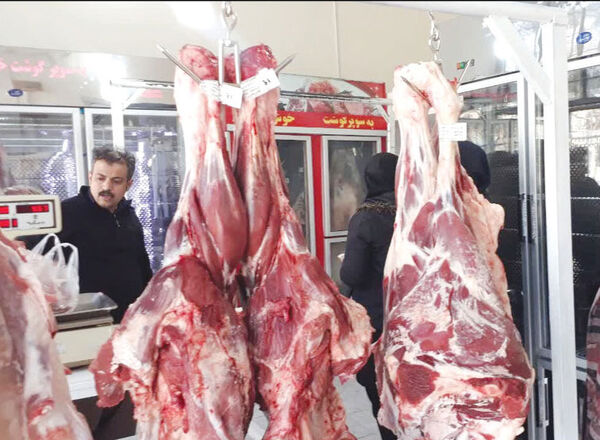 تورم سالانه ۱۳۰ درصدی گوشت قرمز