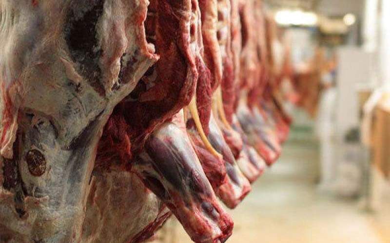 

بازار گوشت زیر سایه دلال‌ها

 قرار دارد