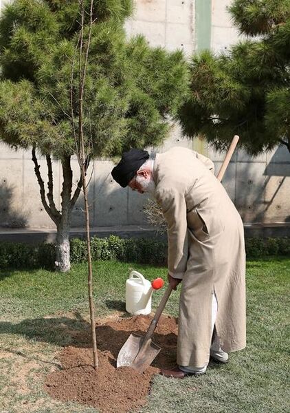 حفظ پوشش گیاهی باید جایگاه واقعی خود را در فرهنگ عمومی پیدا کند