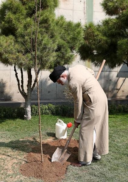 حفظ پوشش گیاهی باید جایگاه واقعی خود را در فرهنگ عمومی پیدا کند