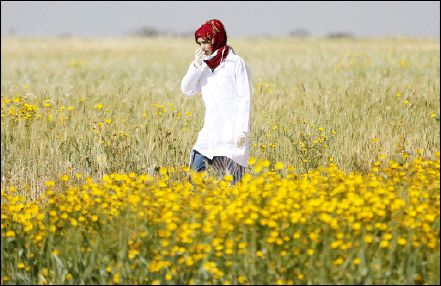 شرح شهادت فرشته مهربانی در غزه