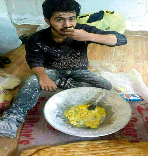 یک هفته زندگی با تخم‌مرغ