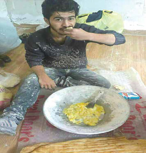 یک هفته زندگی با تخم‌مرغ