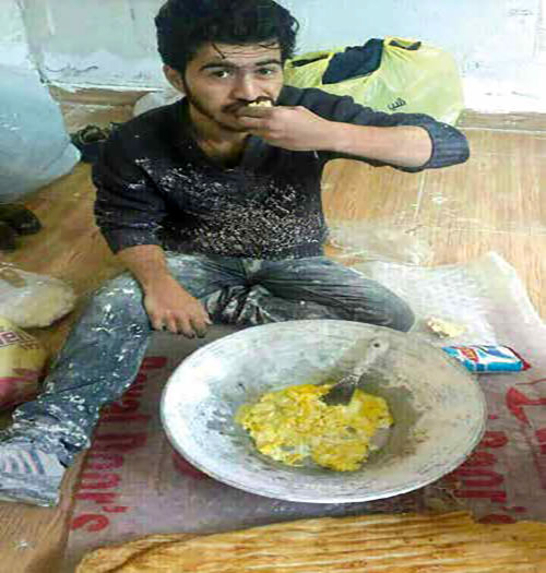 یک هفته زندگی با تخم‌مرغ